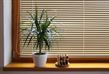 Picture of Venetian Blinds