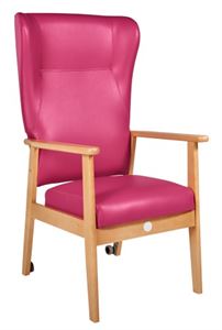 Picture of Elite chair with pressure reducing cushion